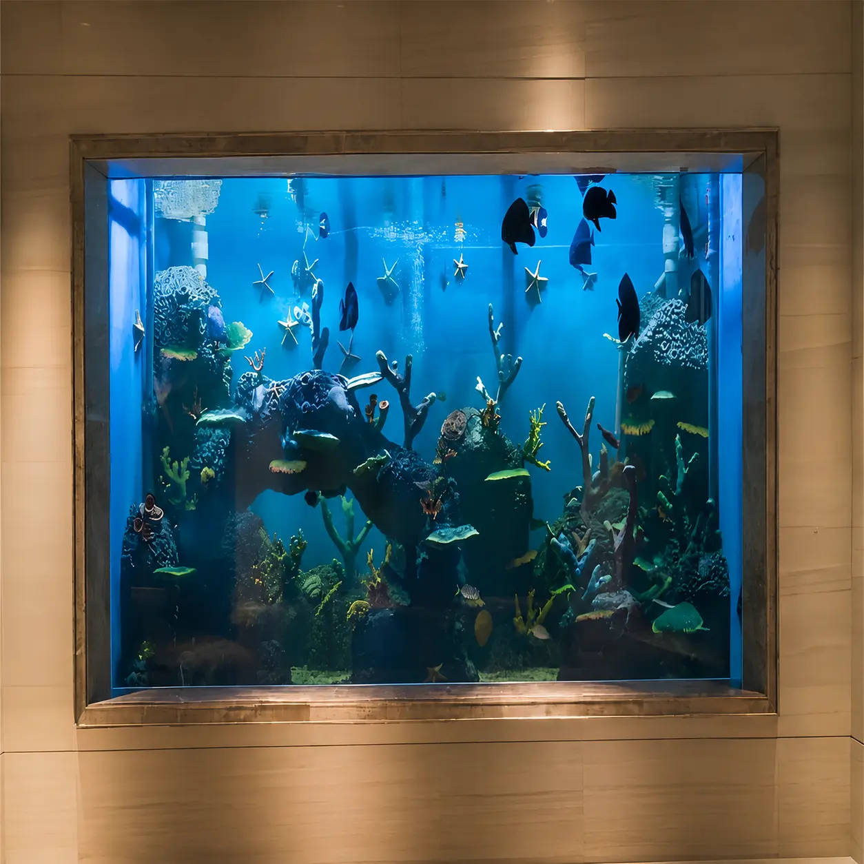 acrylic aquarium fish tank (5)