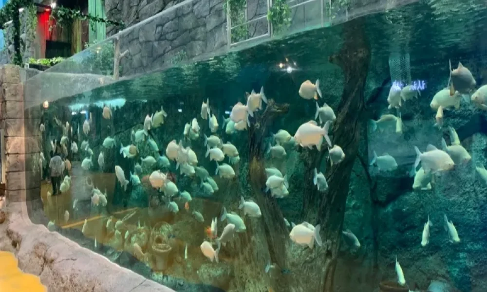 Feuille acrylique pour aquarium (9)