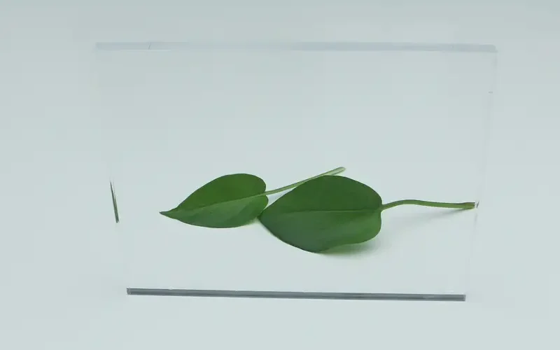 Transparent acrylic sheet sample image (9)